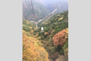 秋色に染まる石鎚山ロープウェイ