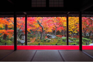 事前予約制圓光寺