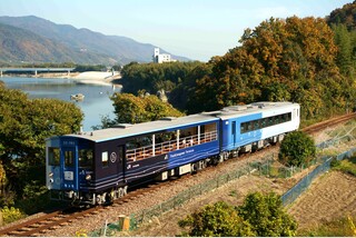 藍よしのがわ大歩危トロッコ