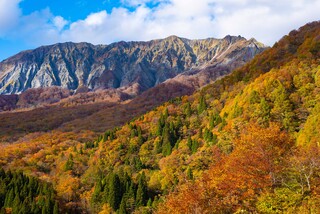 紅葉の大山・蒜山ドライブウェイ
