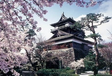 1名1室同価格 桜が美しい日本100名城めぐり 北陸編 30名以下 穴吹四季の旅 あなぶきトラベル