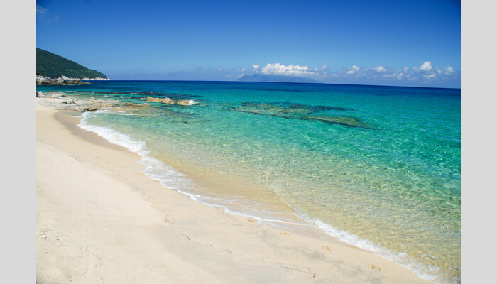 悠久の時が流れる世界自然遺産の島へ!屋久島ゆったり2連泊