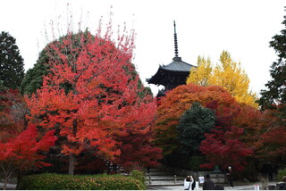 【新幹線&タクシーのんびり少人数プラン】贅なる京の紅葉3景特別公開