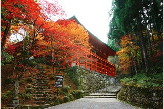比叡山延暦寺特別拝観