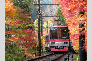 貴船もみじトンネル列車