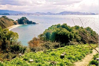 海を臨む道 ゆったり 興居島ウォーク