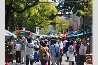 土佐の日曜市・ひろめ市場