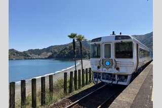 【1本限定!ご予約はお早めに】志国土佐 時代の夜明けのものがたり&チャーター船で航く!土佐の宮島「鳴無神社」初詣