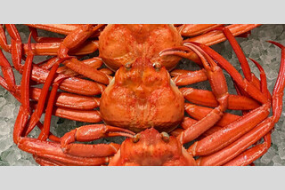 5つのミステリースポットを巡る!境港産浜ゆで紅ズワイ姿蟹&瀬戸内海産牡蠣食べ放題!!