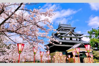 新型特急やくもで行く!桜舞う松江城と小泉八雲記念館