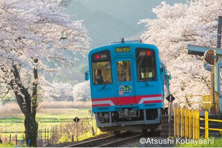 明智鉄道「寒天列車」と樽見鉄道に乗って根尾谷淡墨桜へ