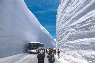 立山黒部アルペンルート 雪の大谷ウォーク
