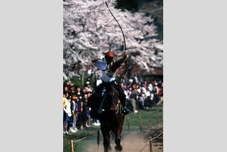 1名1室同価格!!有料観覧席で見る!桜舞う津和野鷲原八幡宮流鏑馬神事
