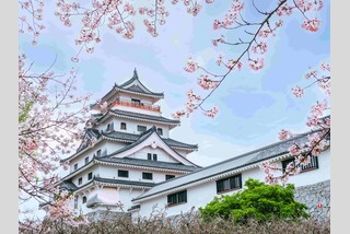 唐津天然温泉オーシャンビューリゾートに泊まる!桜の唐津城&九十九島遊覧クルーズ