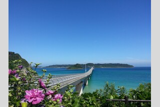 GWに行く!青の絶景とグルメ紀行