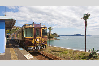 幻想的なホタル舞う四万十川屋形船と志国土佐 時代の夜明けのものがたり