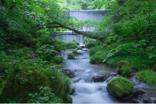 奥大山の自然満喫2大トレッキング