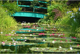 モネの庭と森林鉄道