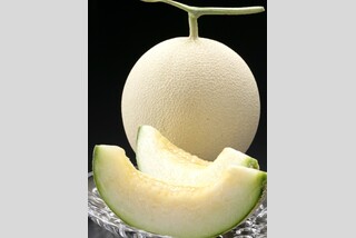 久美浜砂丘メロン食べ放題 メロン1玉お土産付き!