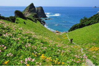 ベストシーズンに訪れる東シナ海の秘島絶景めぐり!カノコユリ彩る甑島と桜島・錦江湾ドライブ