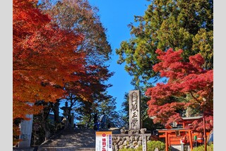 【岡山発特別編】山﨑先生と紅葉の吉野山を巡る! 日本最大秘仏本尊特別開帳