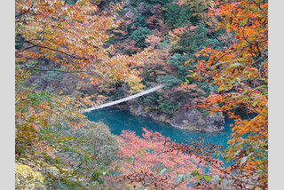 大型バスでは行けない秘境 寸又峡ハイキングと 湖の真ん中に浮かぶ秘境駅 大井川鐵道 奥大井湖上駅