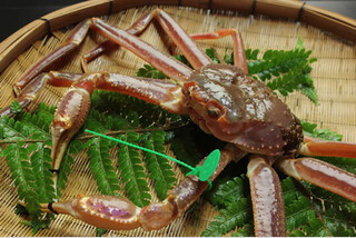 ロイヤルセレクション第229回「間人がに1杯付!厳選ずわい蟹フルコース」