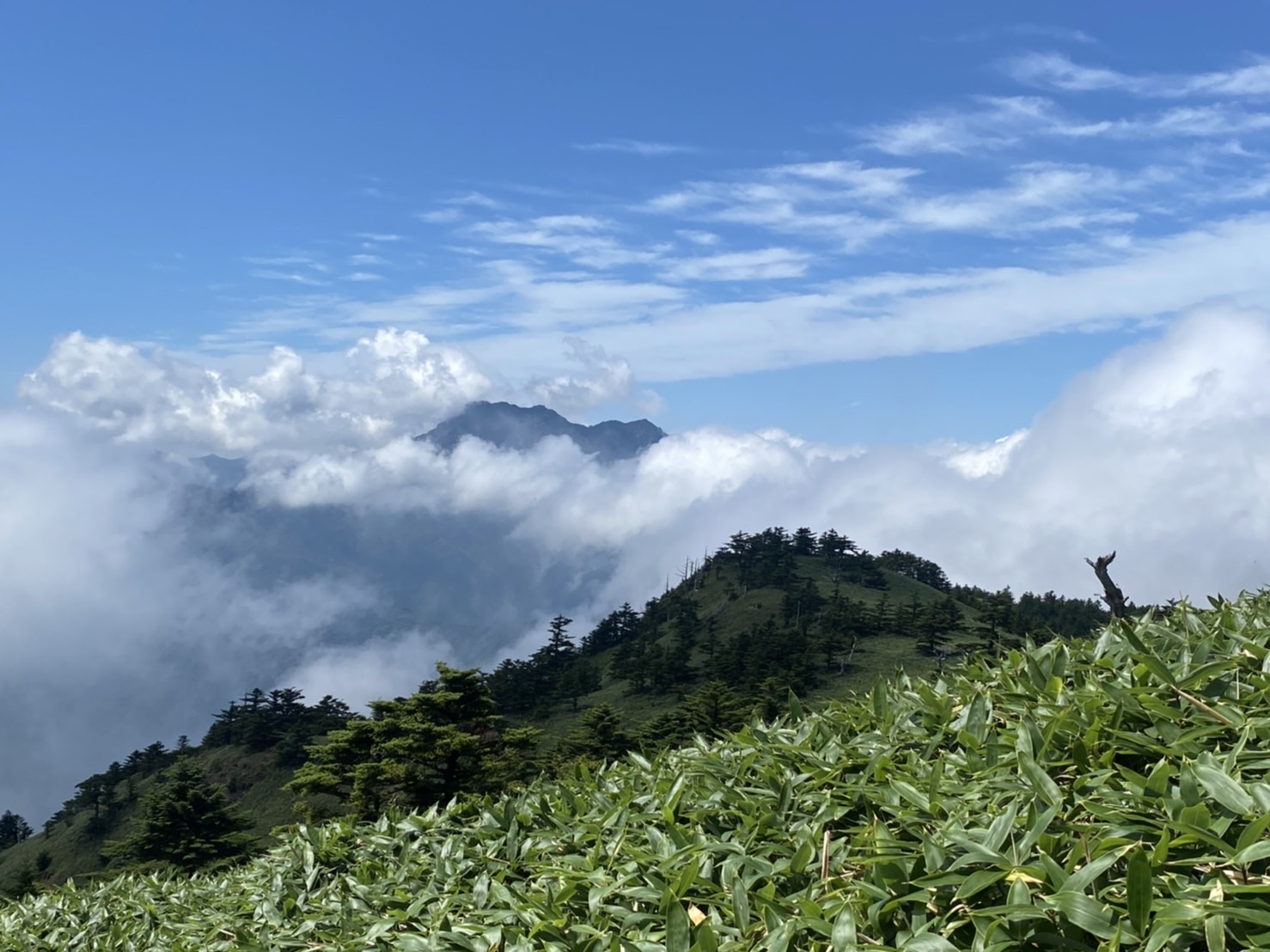 今年最後の夏山登山！瓶ヶ森周遊登山 | スタッフブログ | 穴吹四季の旅